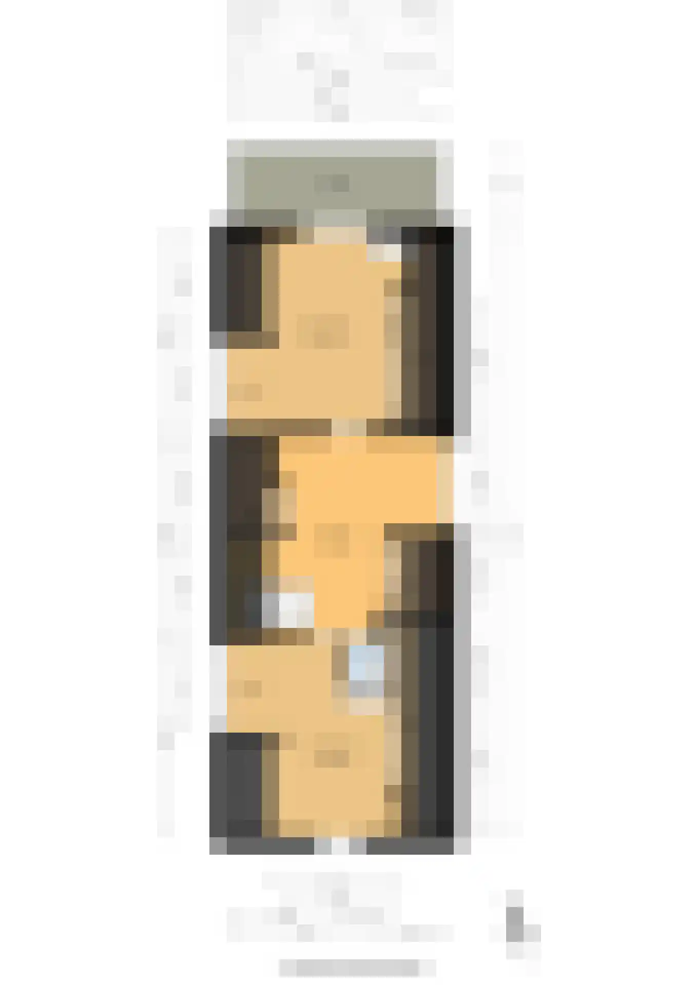 Dorpsstraat 68 Krimpen aan de Lek thumbnail 52