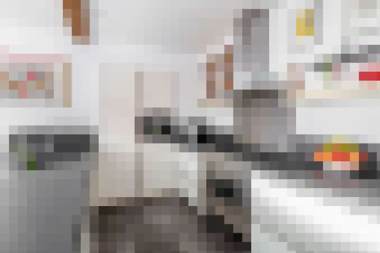 Dorpsstraat 68 Krimpen aan de Lek thumbnail 9
