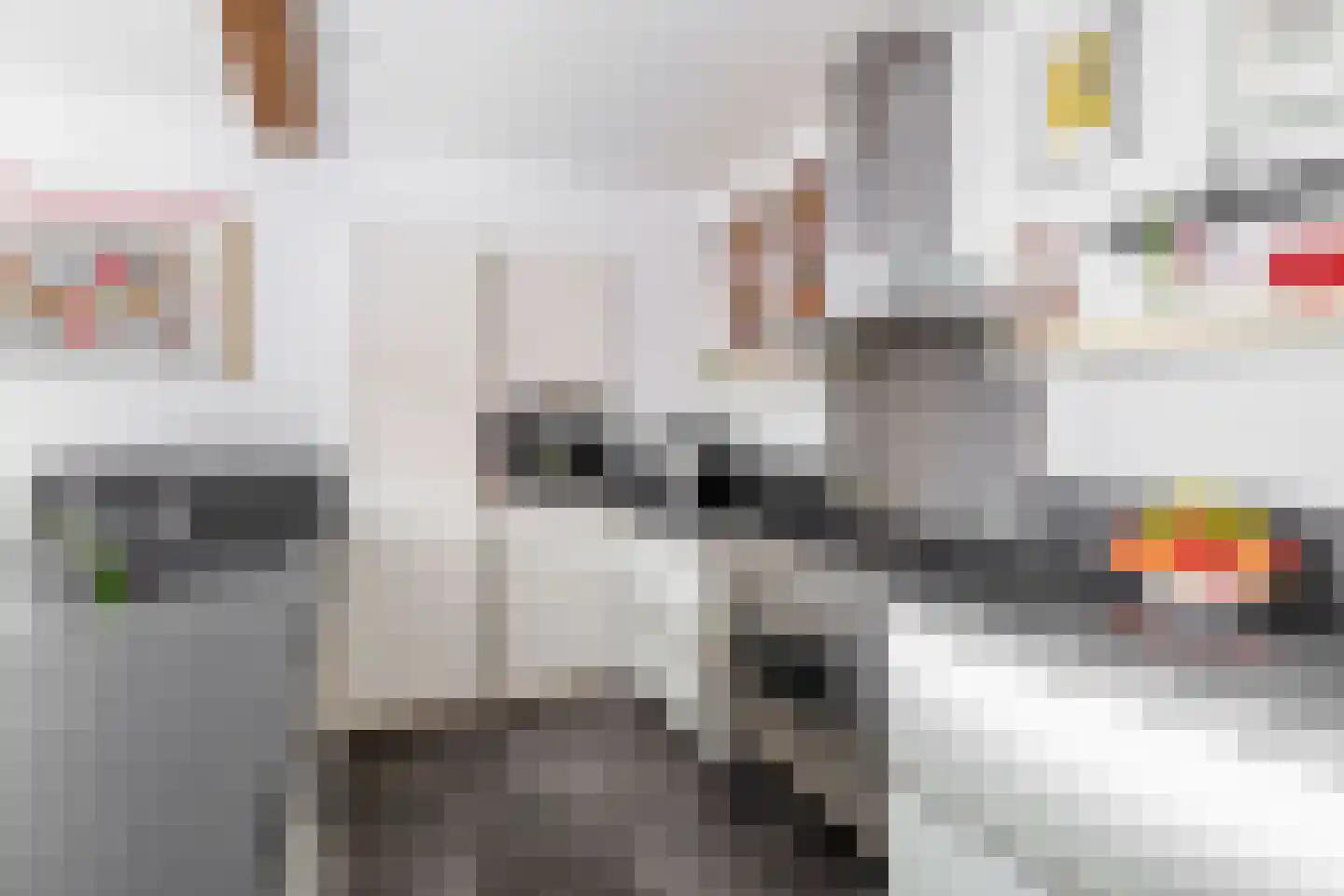 Dorpsstraat 68 Krimpen aan de Lek thumbnail 9