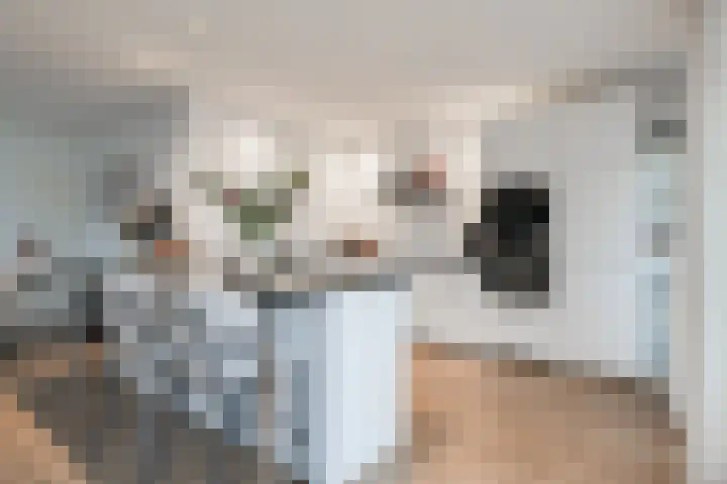 Dorpsstraat 68 Ruurlo thumbnail 13