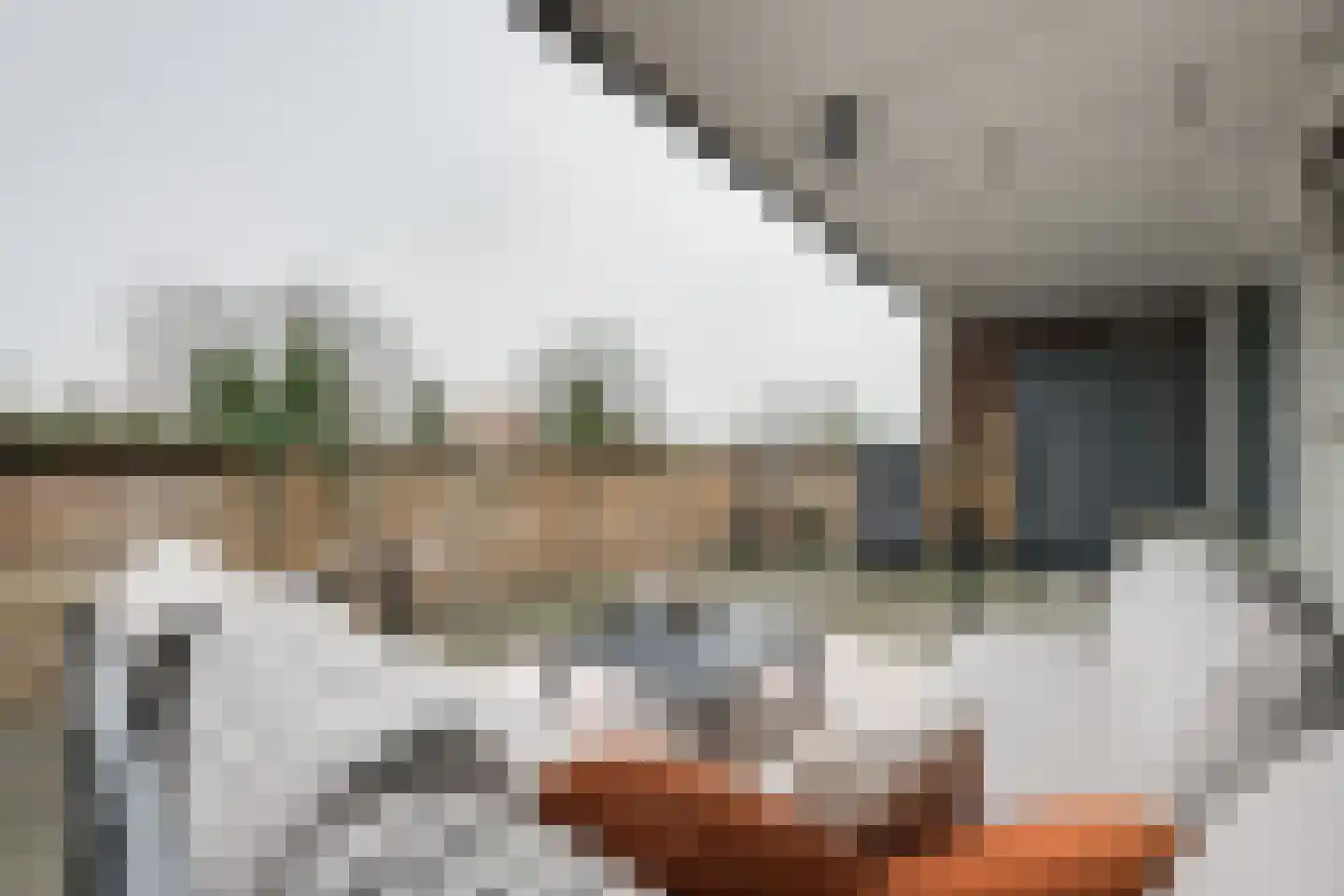 Dorpsstraat 68 Ruurlo thumbnail 19