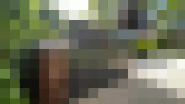 Dorpsstraat 68 Vleuten thumbnail 31