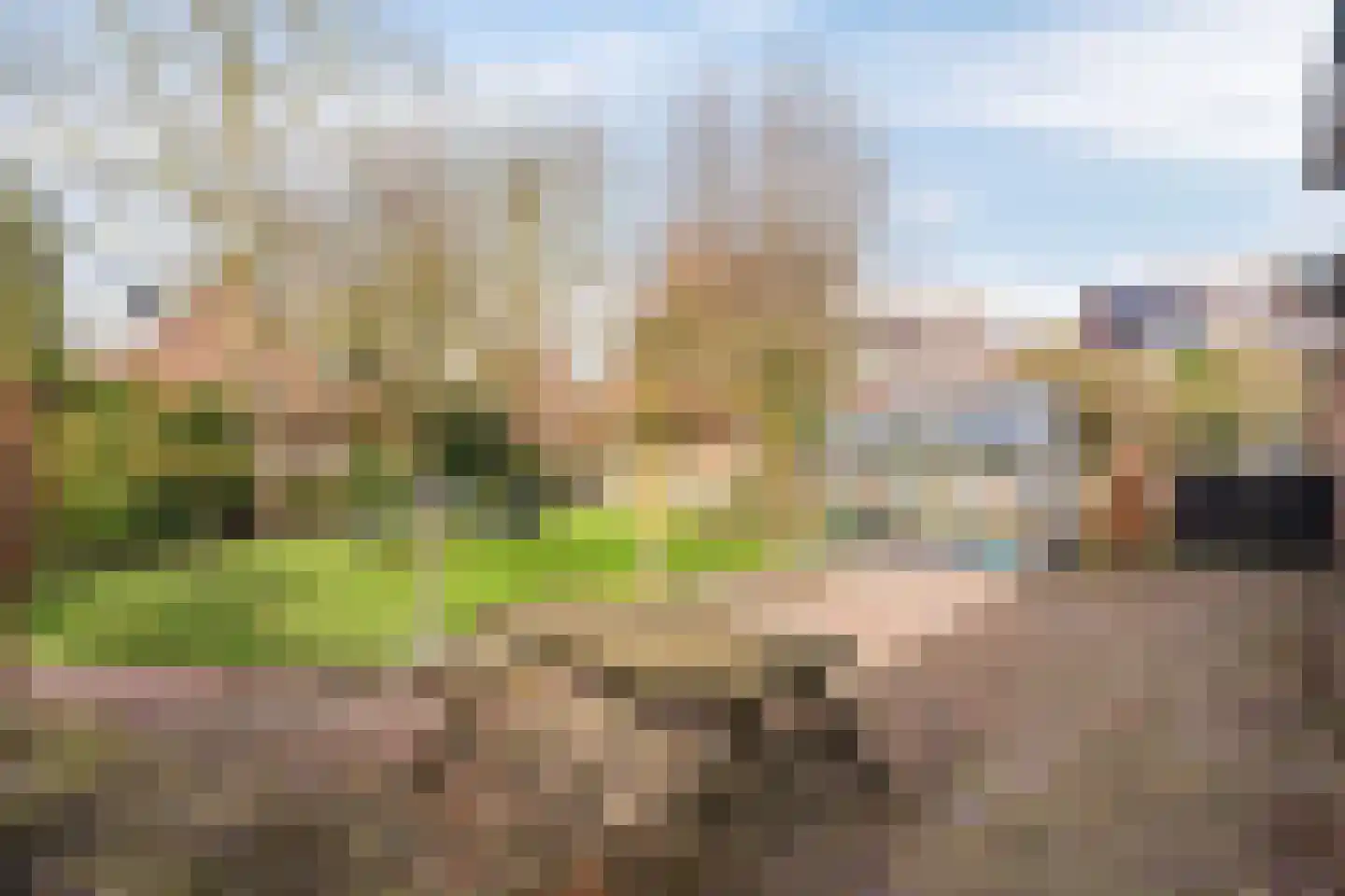 Dorpsstraat 68 Woensdrecht thumbnail 50