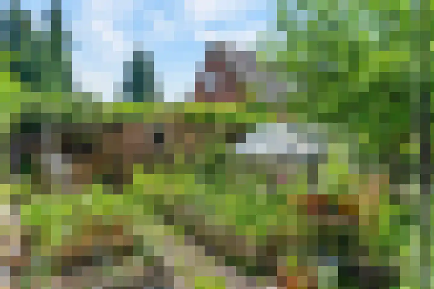 Dorpsstraat 68 Woensdrecht thumbnail 56
