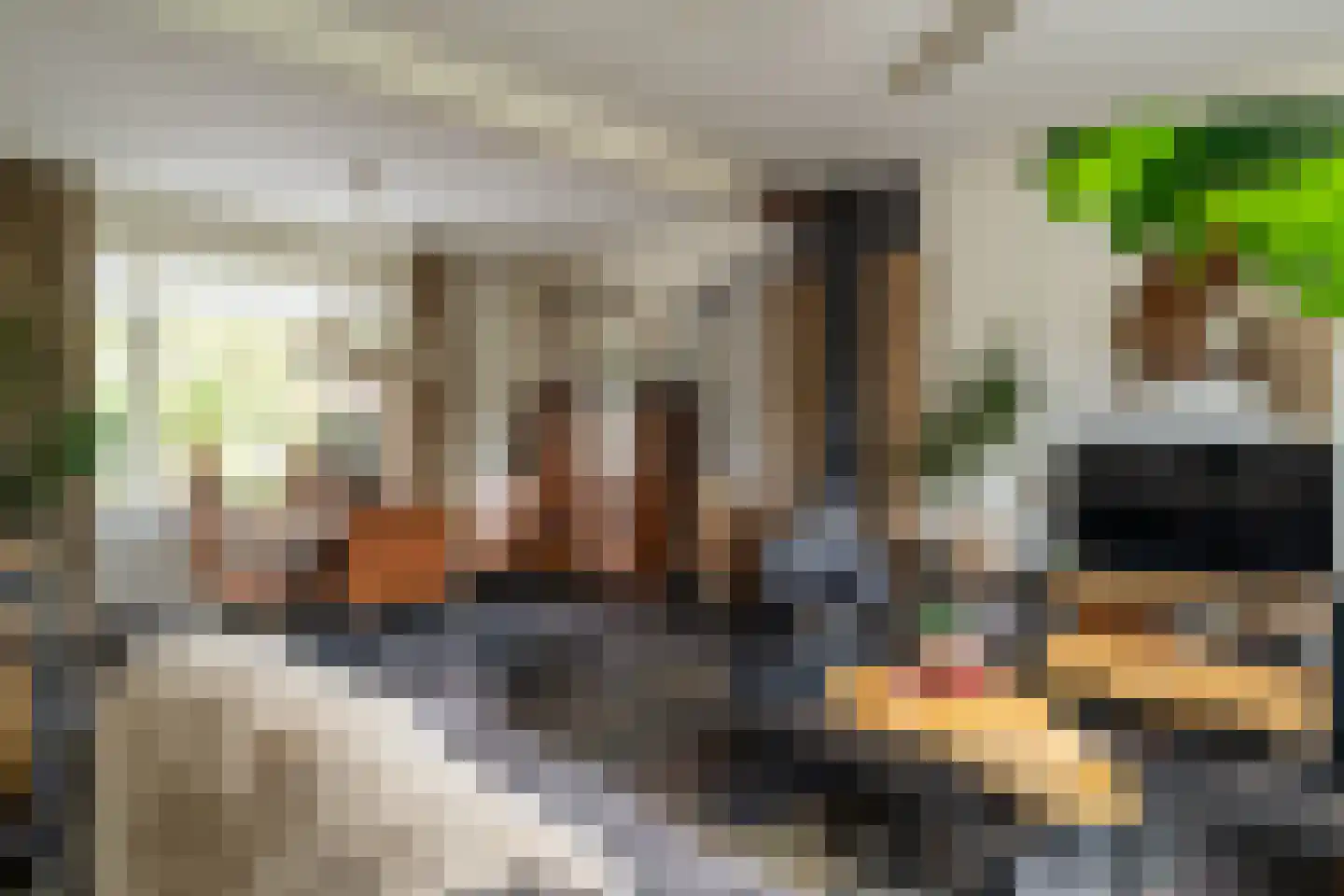 Dorpsstraat 69 Rijswijk (NB) thumbnail 8