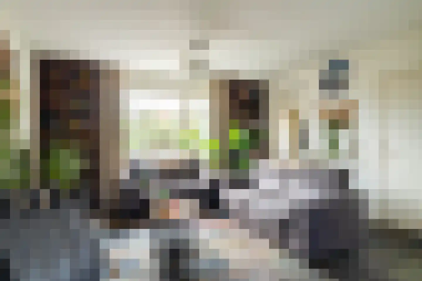 Dorpsstraat 69 Rijswijk (NB) thumbnail 9