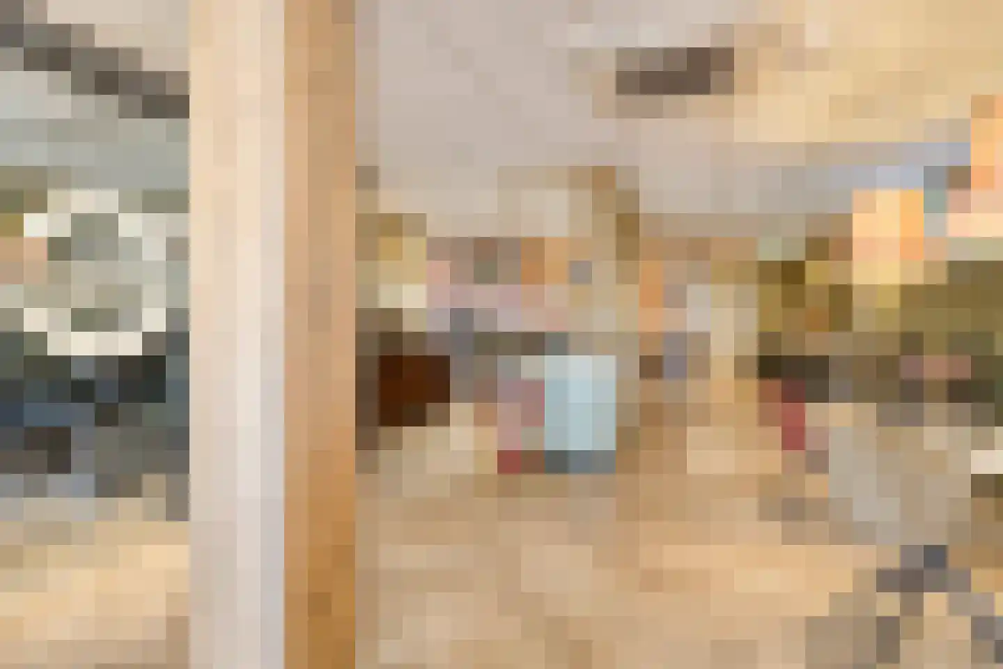Dorpsstraat 69 St. Willebrord thumbnail 11