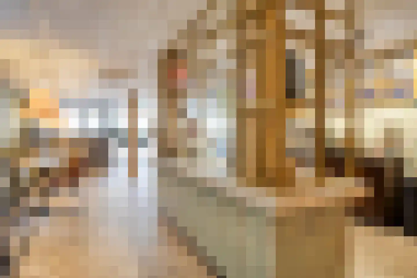 Dorpsstraat 69 St. Willebrord thumbnail 12