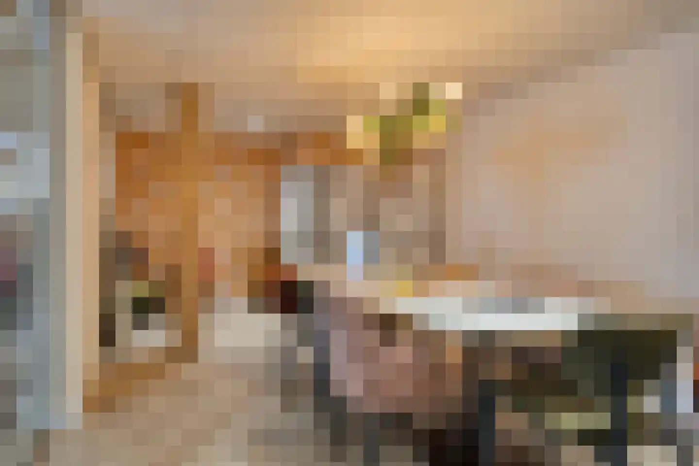 Dorpsstraat 69 St. Willebrord thumbnail 21