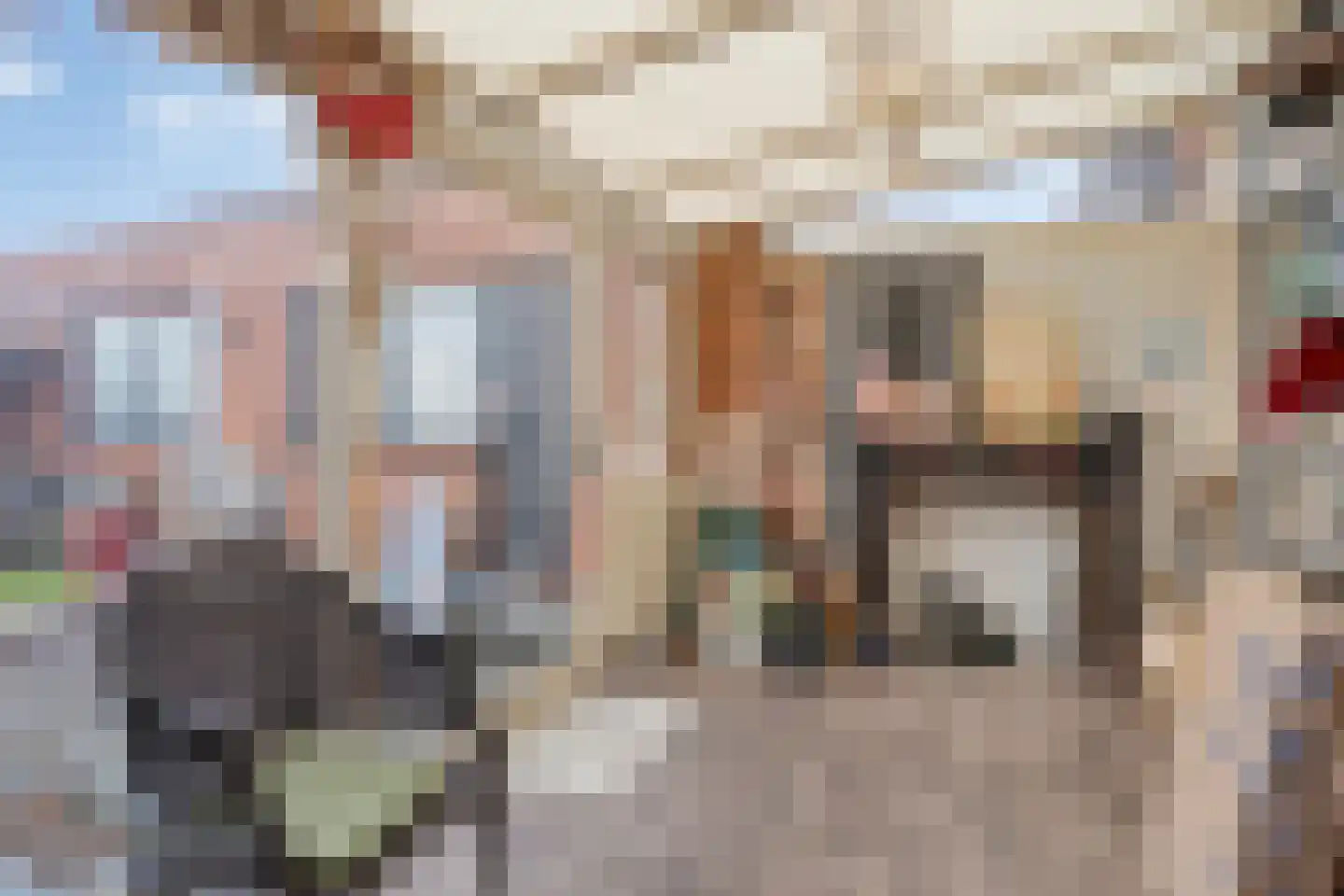 Dorpsstraat 69 St. Willebrord thumbnail 39