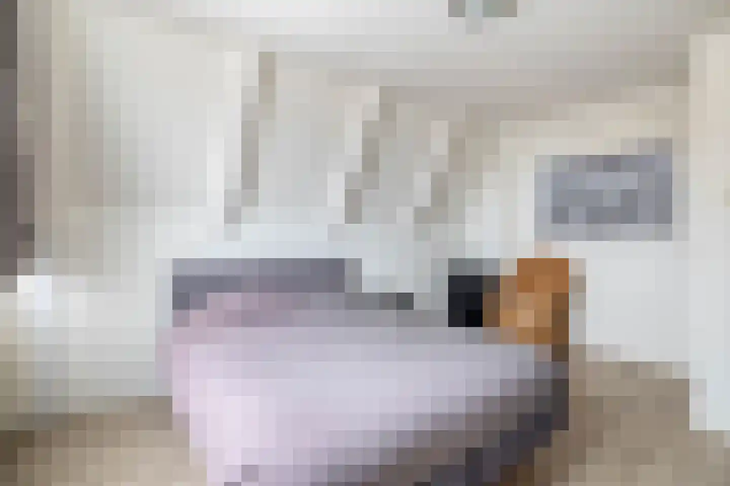 Dorpsstraat 69 Zevenhuizen thumbnail 20