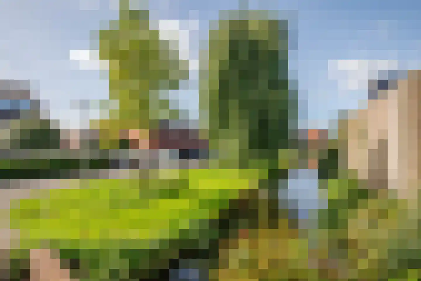 Dorpsstraat 69 Zevenhuizen thumbnail 28