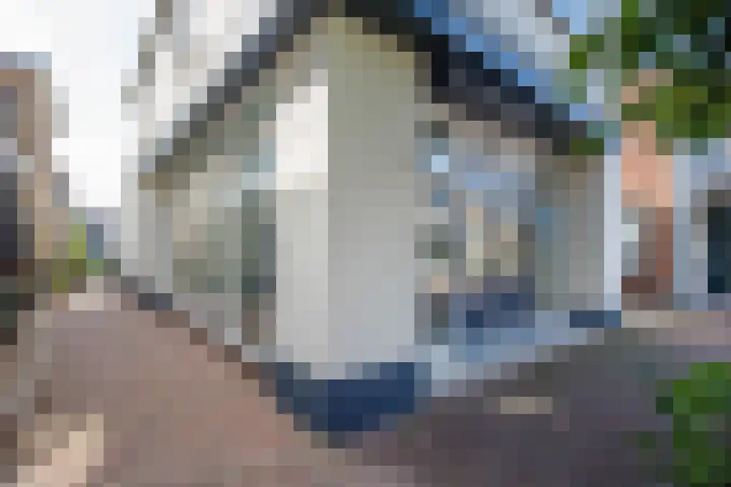 Dorpsstraat 69 Zevenhuizen thumbnail 31