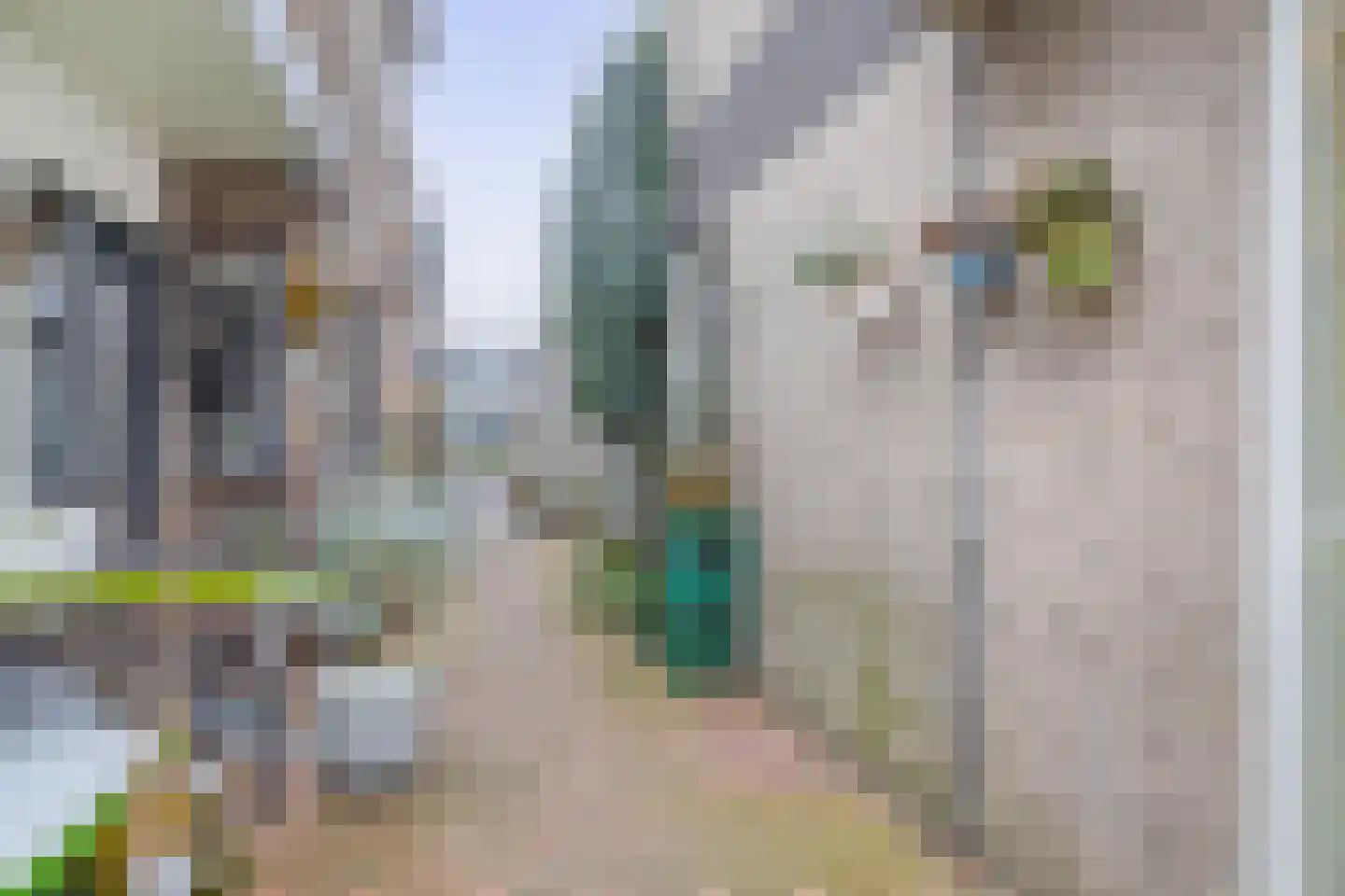 Dorpsstraat 69 Zevenhuizen thumbnail 4