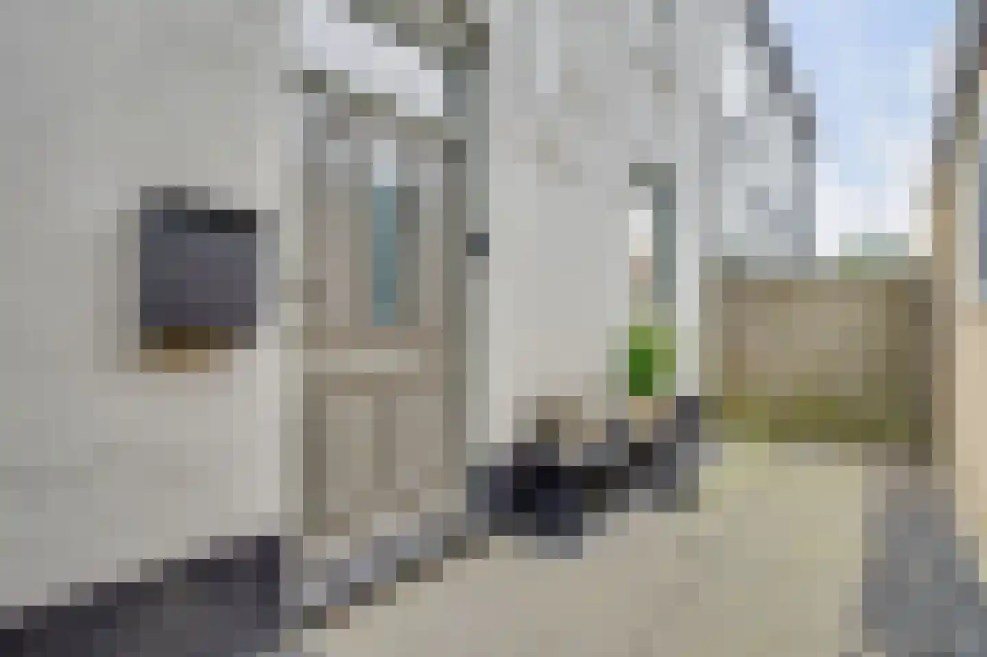 Dorpsstraat 691 A Noord-Scharwoude thumbnail 39