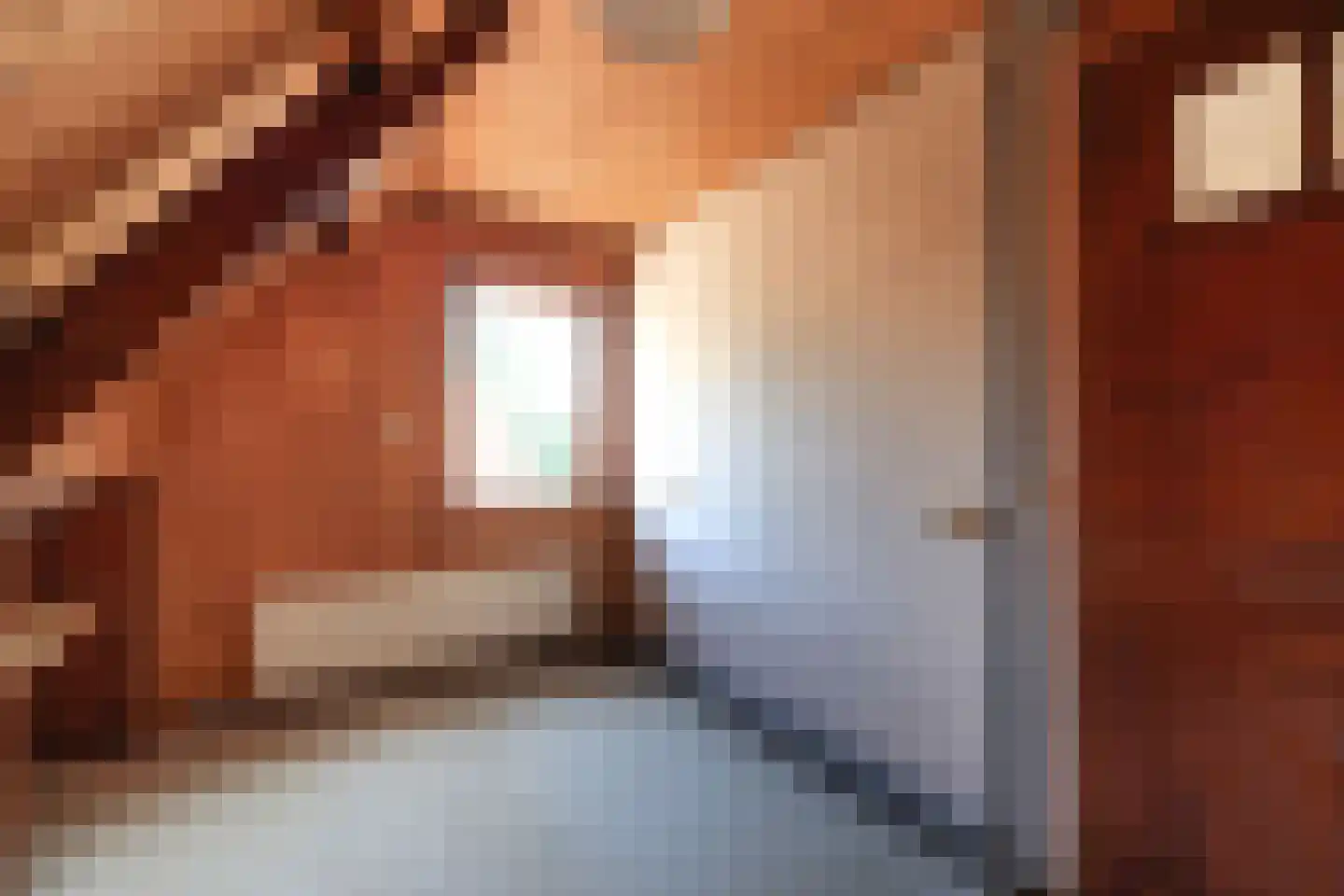 Dorpsstraat 7 Akersloot thumbnail 28