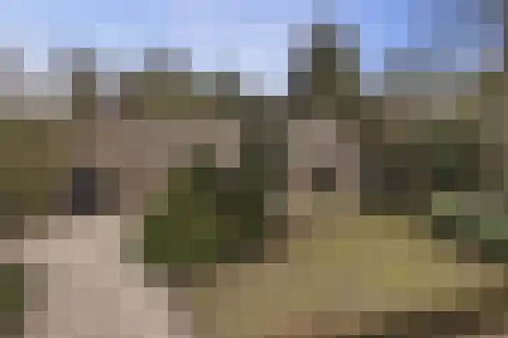 Dorpsstraat 7 Bathmen thumbnail 29