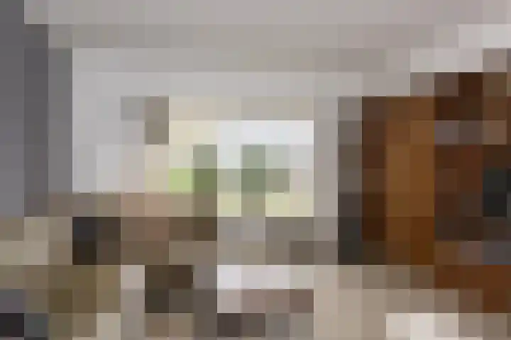 Dorpsstraat 7 Bathmen thumbnail 4