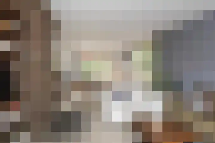 Dorpsstraat 7 Bathmen thumbnail 5