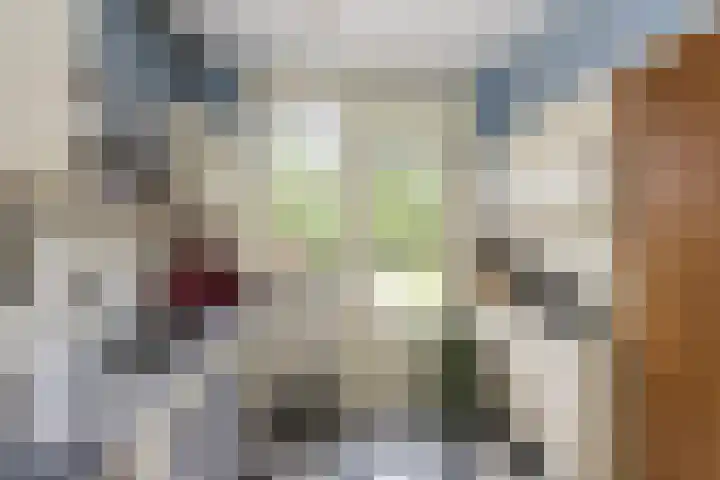 Dorpsstraat 7 Bathmen thumbnail 7