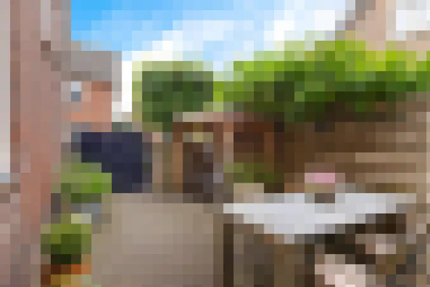 Dorpsstraat 7 Beugen thumbnail 29