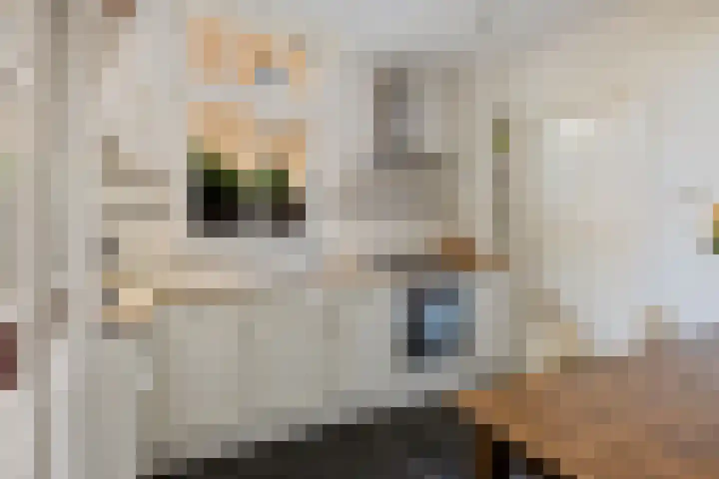 Dorpsstraat 7 Beugen thumbnail 4