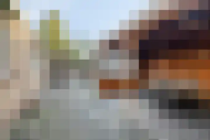 Dorpsstraat 7 Elim thumbnail 28