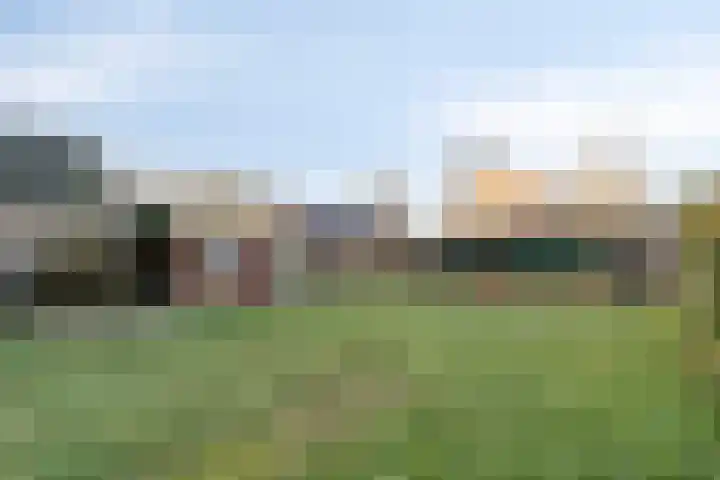 Dorpsstraat 7 Elim thumbnail 31