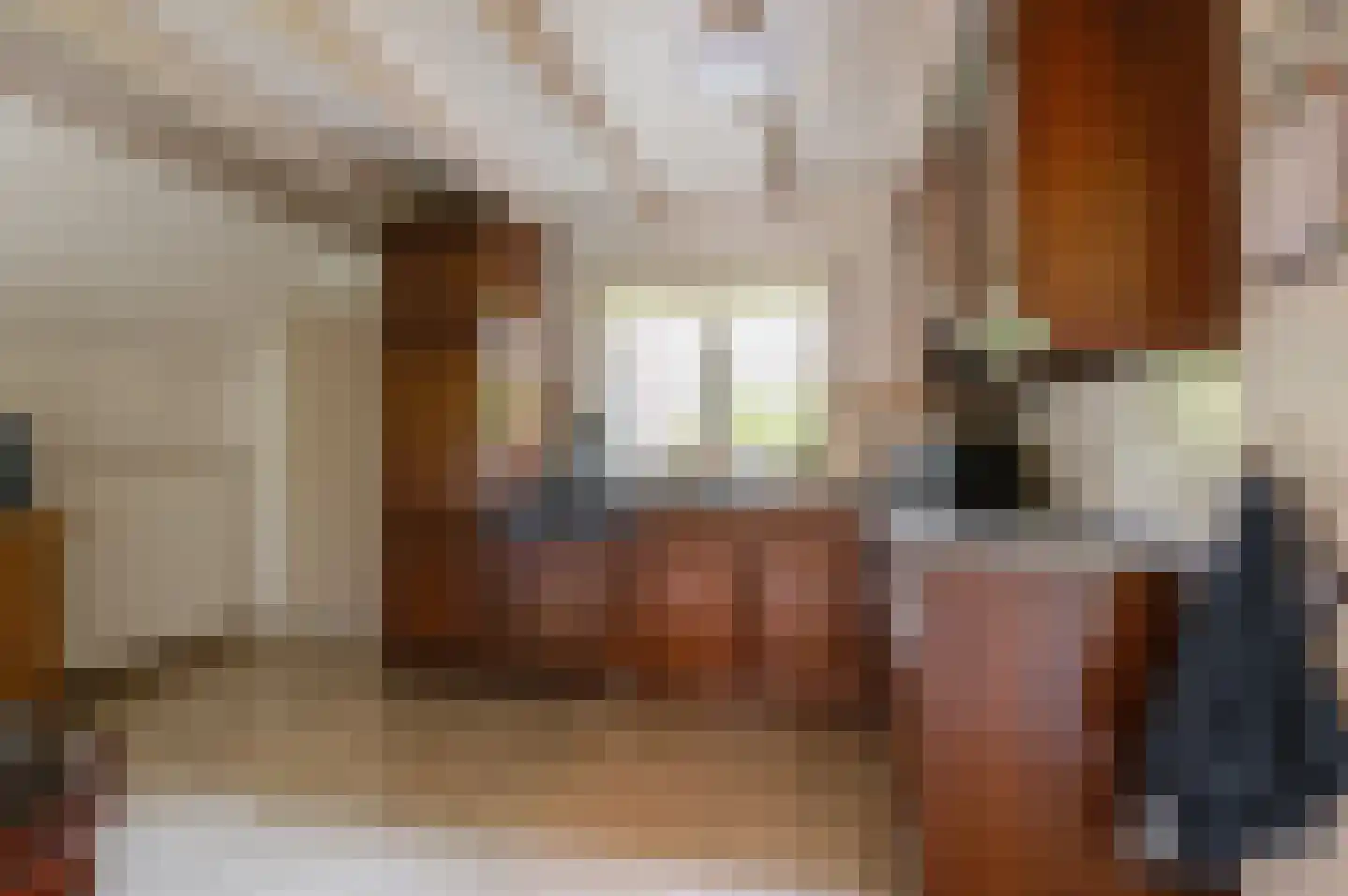 Dorpsstraat 7 Enspijk thumbnail 13