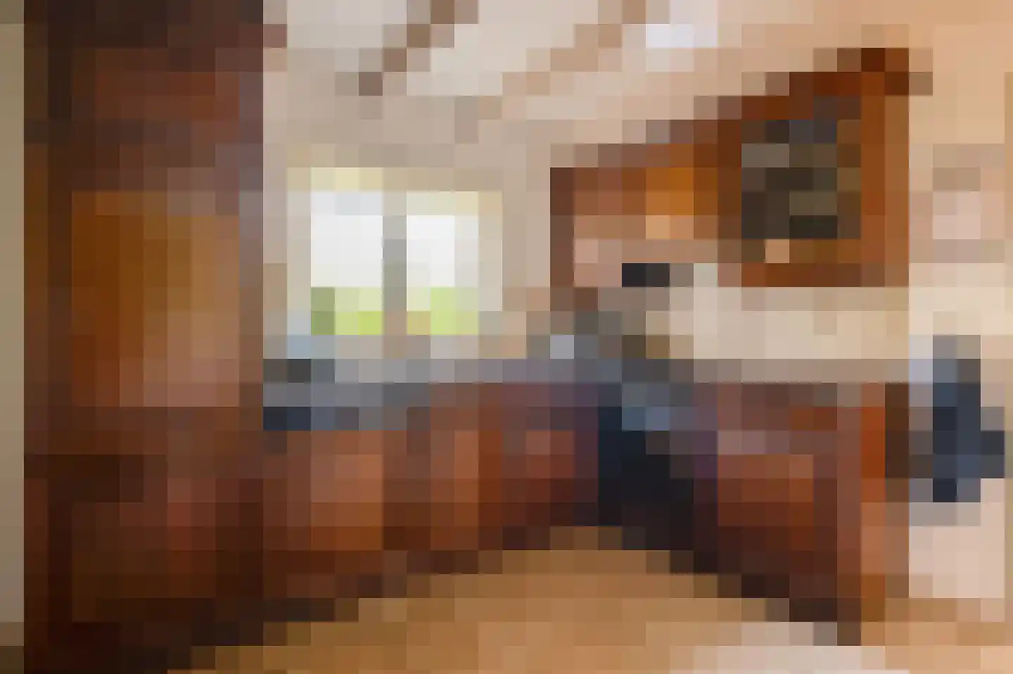 Dorpsstraat 7 Enspijk thumbnail 14