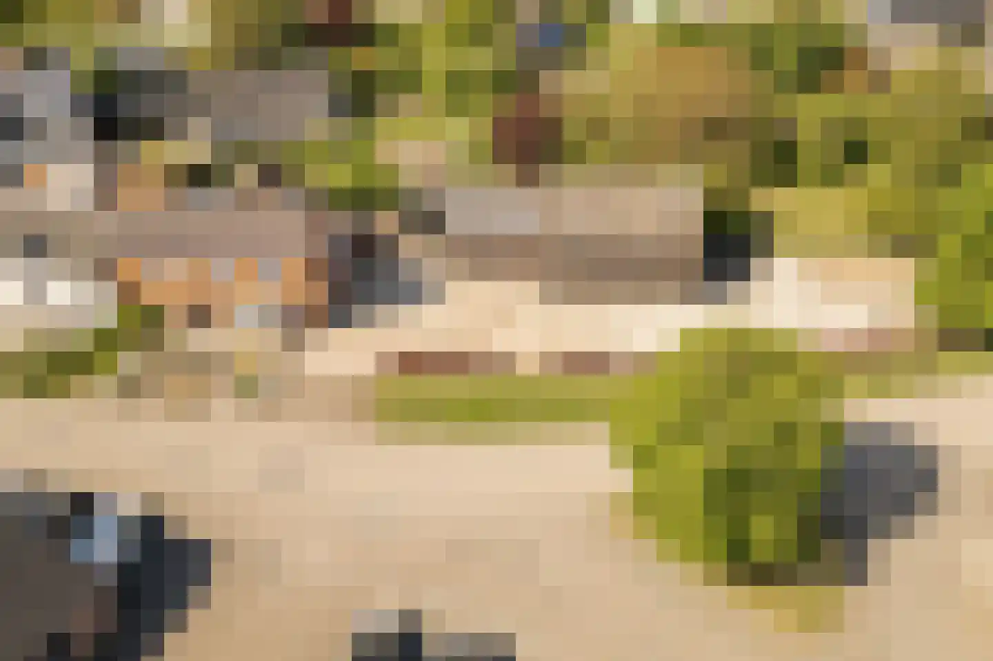 Dorpsstraat 7 Enspijk thumbnail 31