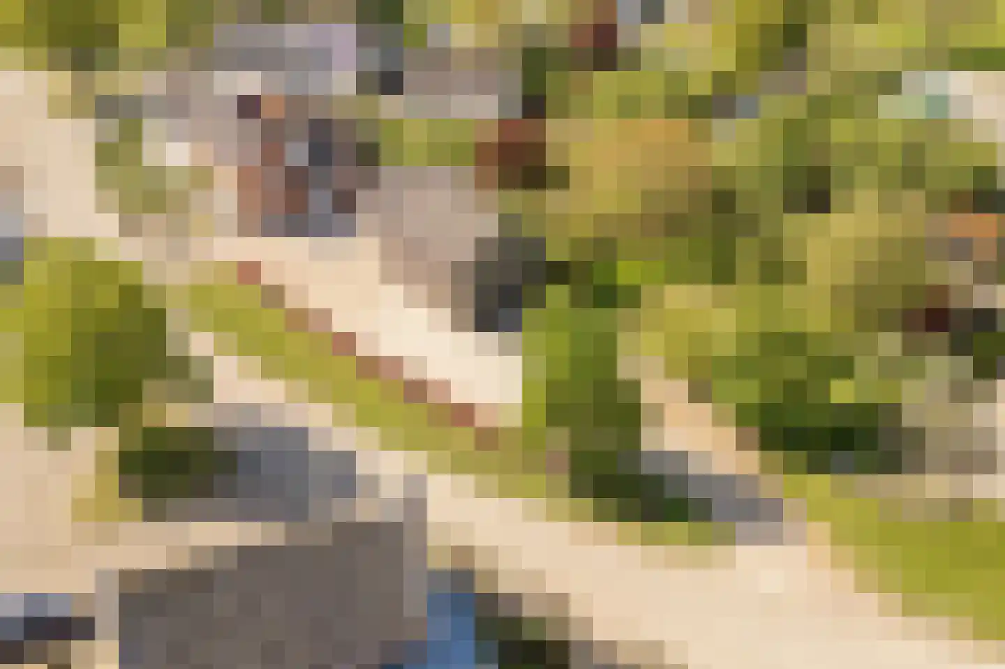 Dorpsstraat 7 Enspijk thumbnail 32