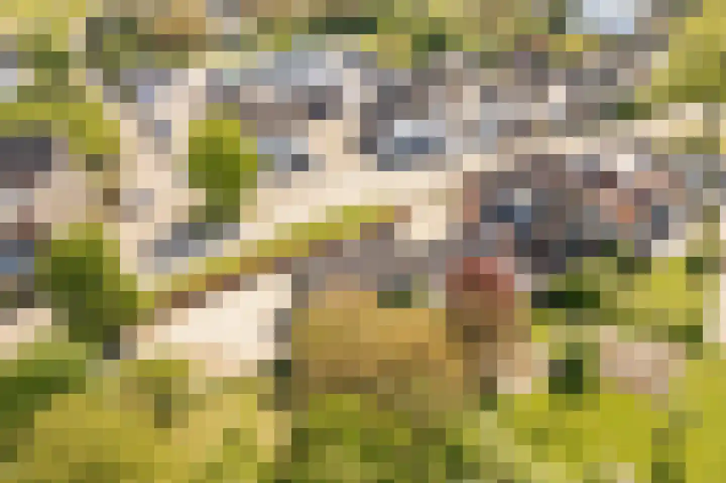 Dorpsstraat 7 Enspijk thumbnail 33