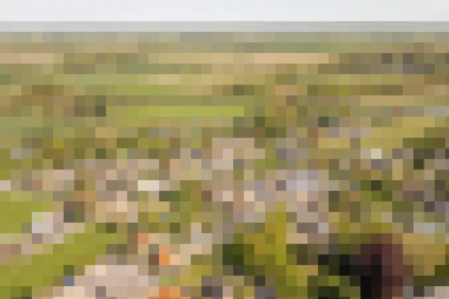 Dorpsstraat 7 Enspijk thumbnail 34
