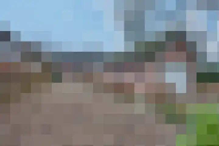 Dorpsstraat 7 Esbeek thumbnail 32