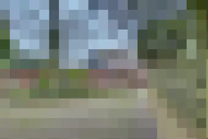 Dorpsstraat 7 Esbeek thumbnail 35
