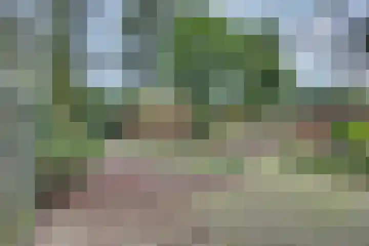 Dorpsstraat 7 Esbeek thumbnail 38