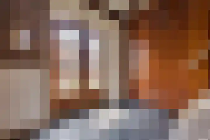 Dorpsstraat 7 Esbeek thumbnail 7