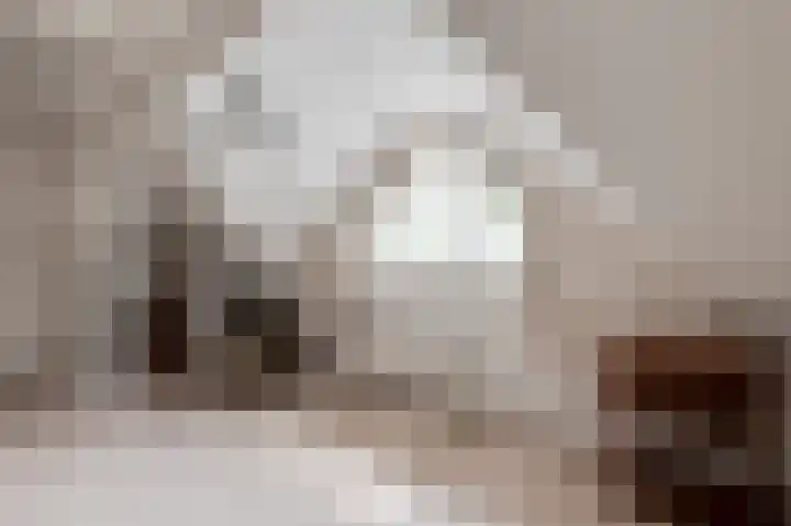 Dorpsstraat 7 Est thumbnail 22
