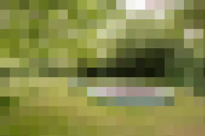 Dorpsstraat 7 Est thumbnail 32