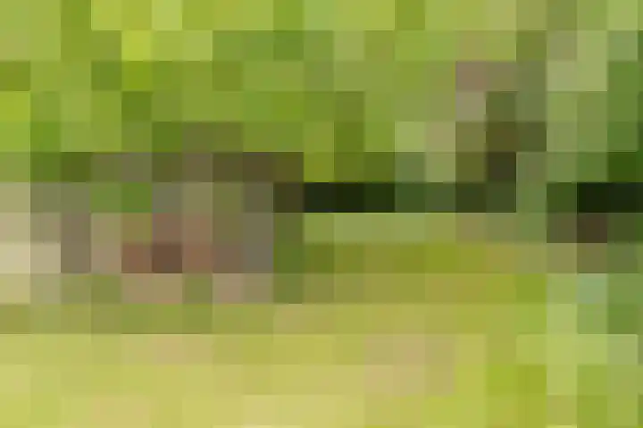 Dorpsstraat 7 Est thumbnail 33
