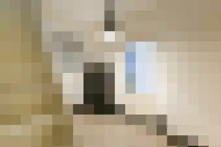 Dorpsstraat 7 Etten thumbnail 19