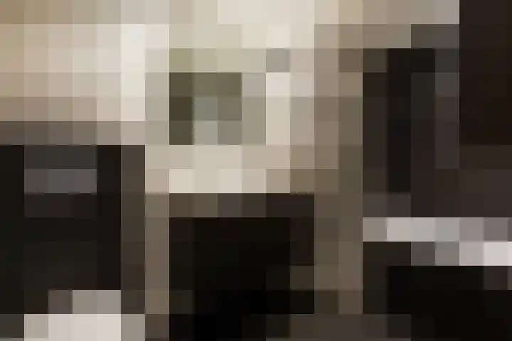 Dorpsstraat 7 Etten thumbnail 26
