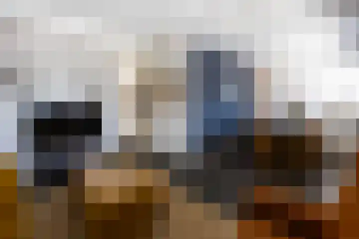 Dorpsstraat 7 Etten thumbnail 6