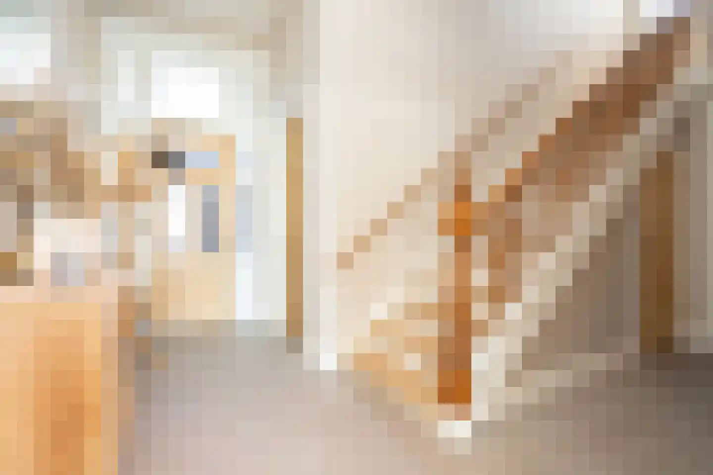 Dorpsstraat 7 Krimpen aan de Lek thumbnail 11