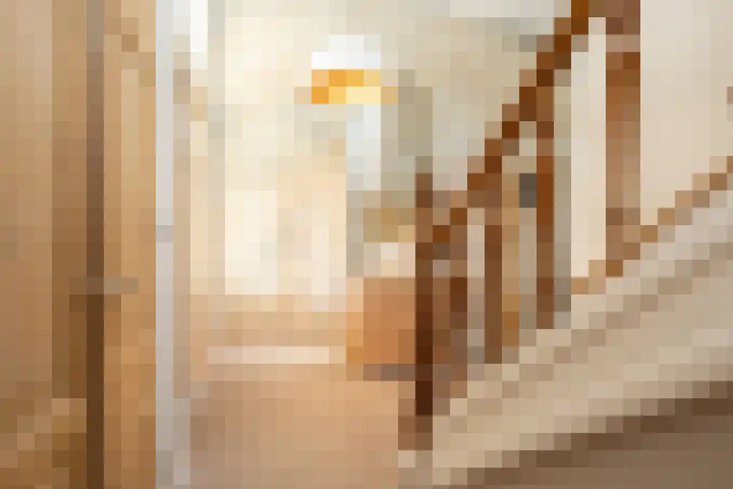 Dorpsstraat 7 Krimpen aan de Lek thumbnail 12