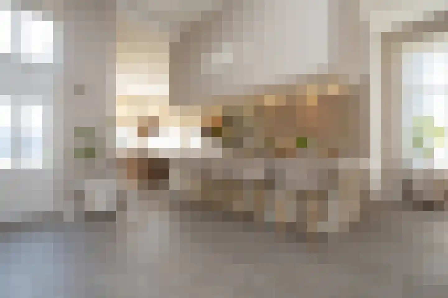 Dorpsstraat 7 Krimpen aan de Lek thumbnail 15