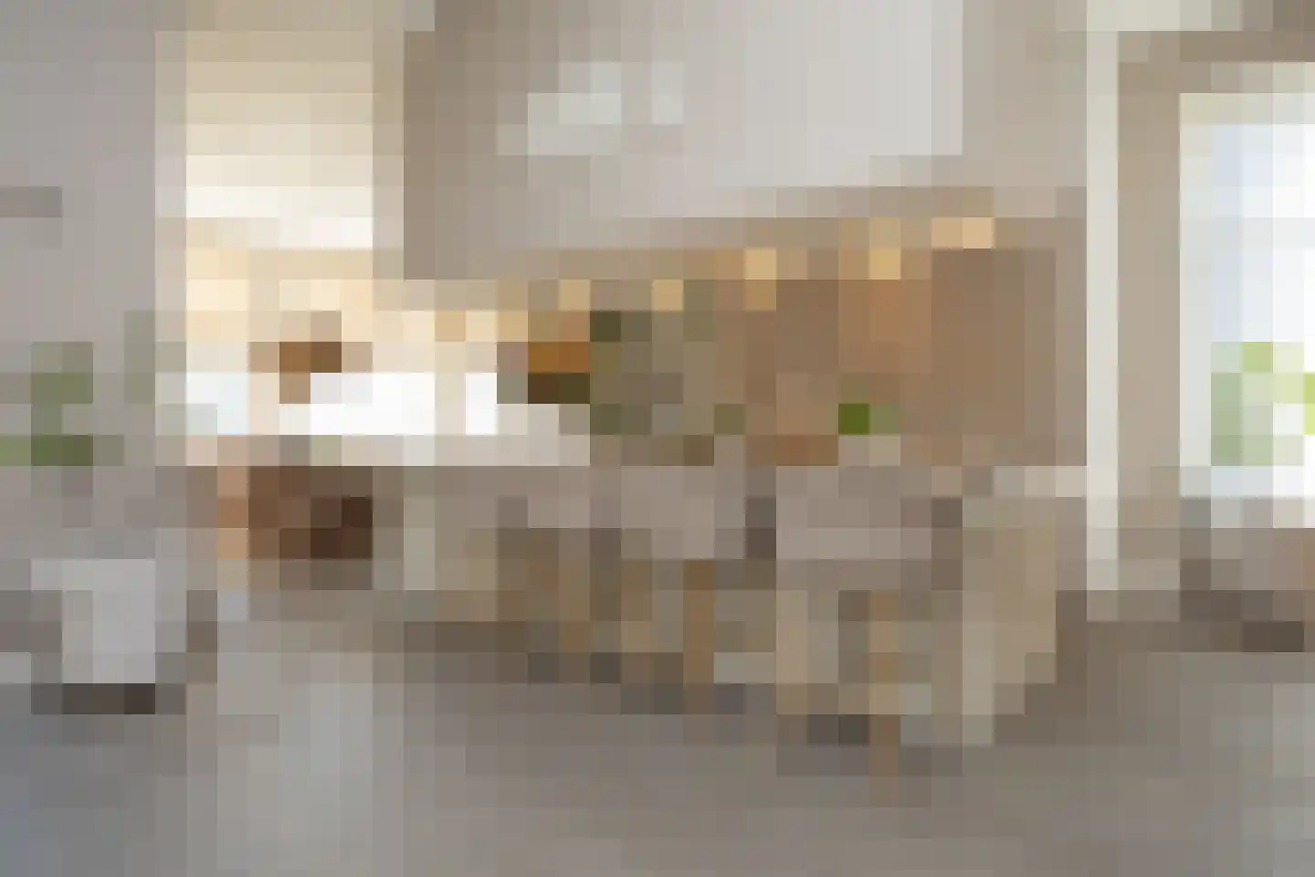 Dorpsstraat 7 Krimpen aan de Lek thumbnail 16