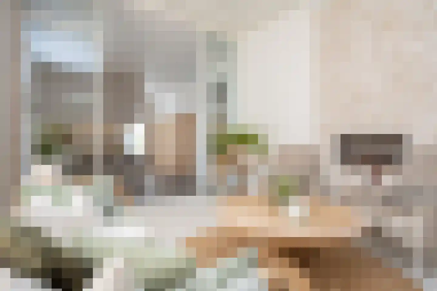 Dorpsstraat 7 Krimpen aan de Lek thumbnail 20
