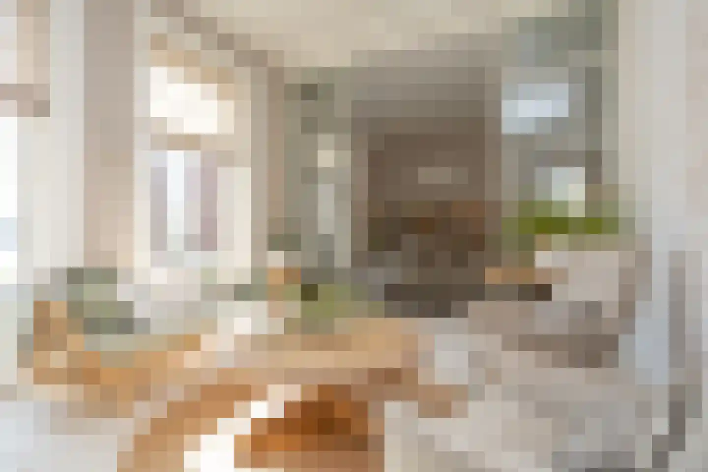 Dorpsstraat 7 Krimpen aan de Lek thumbnail 22